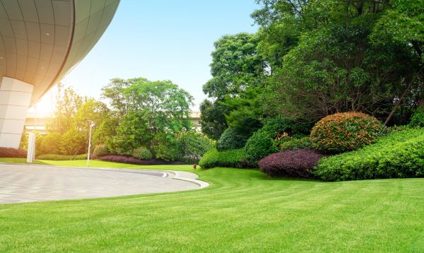 Commercial Shrub Trimming in Vancouver