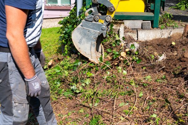 Hedge Removal Service in Vancouver