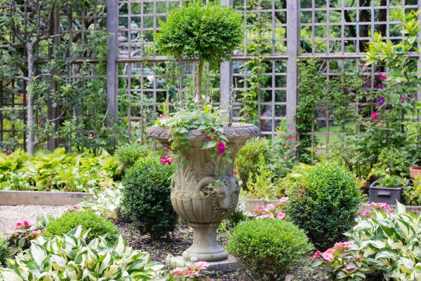 Topiary Pruning in Vancouver