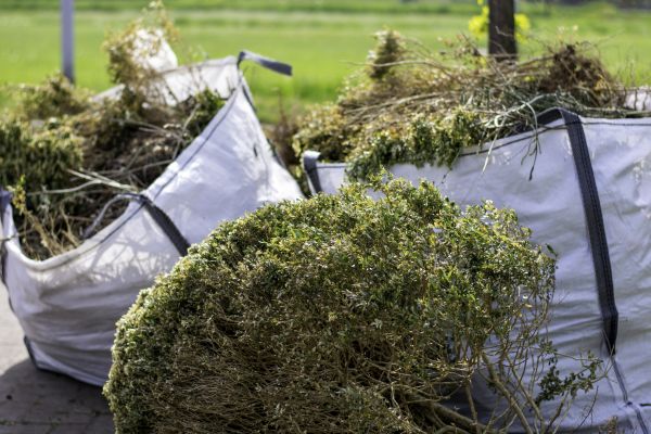 Cost of Shrubs Removal in Vancouver