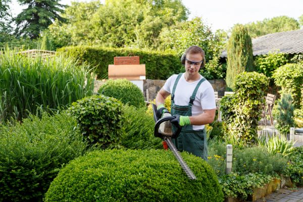 Shrubs Trimming in Vancouver
