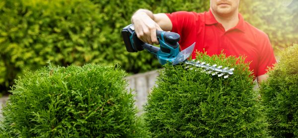 Hedge Shaping Service in Vancouver