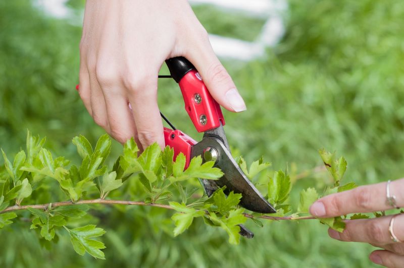 Close-up of Shrub Pruning Tools